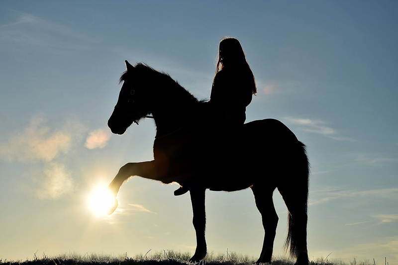 sunset, lifestyles, pets, huf, real people, sunrise, herbivorous, domestic animals, horse, girl, one person, pony, 5K, ride, sky, sun, human, nature, domestic