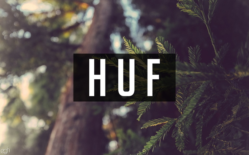 day, growth, plant, information sign, green color, outdoors, close-up, land, message, text, sign, western script, huf nature writing forest, information