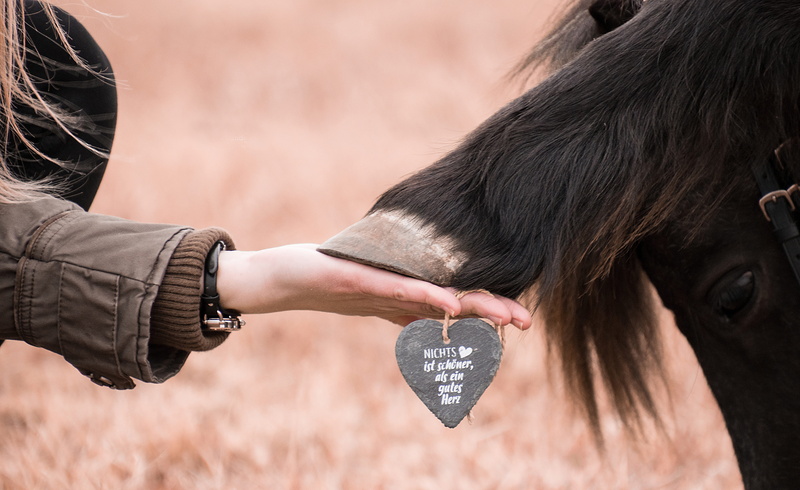 couple - relationship, 5K, shetty, outdoors, finger, team, women, people, body part, connectedness, woman, mammal, heart, security, human hand, human body part