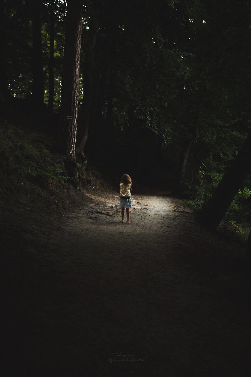 forest, darkness, transportation, childhood, lost, plant, one person, gloomy, rear view, dark, alone, loneliness, land, walking, real people, innocence