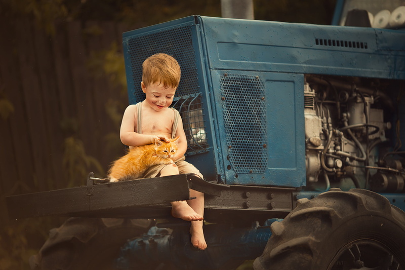 animal, Marianne Smolin, 1080P, grimy, tractor, boy, kitty, cub, child