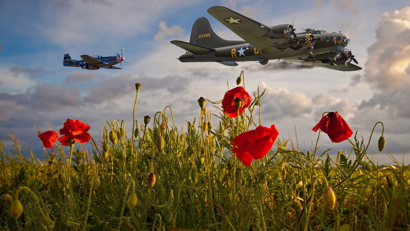 fly, Mac, poppy field, the sky, flight, military, Maki, clouds, al, aircraft, red, over the field, aviation, 1080P, flowers