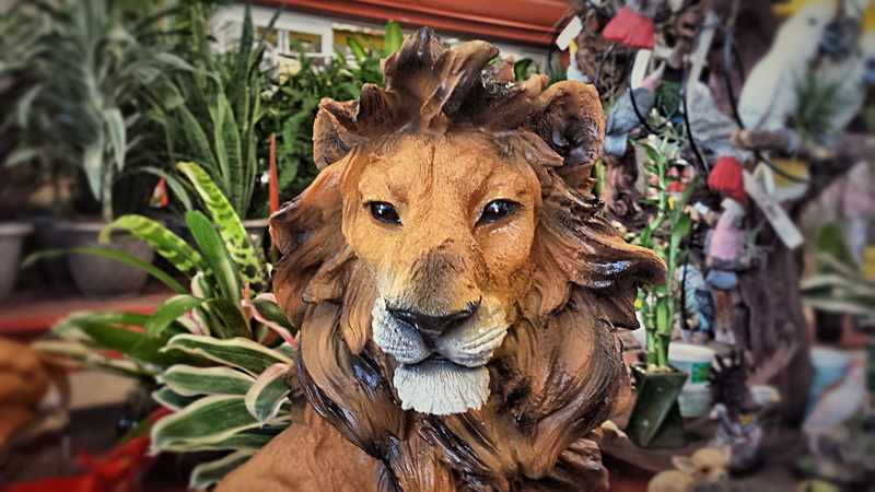 portrait, jungle, plant, leo, icon, feline, Animal, expression, male, danger, eyes, set, plants, animal wildlife, Wild, hunter, ceramic, collection, strength