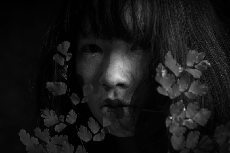 japan, human face, 5K, flowering plant, culture, young women, beautiful woman, bangs, portrait, one person, headshot, grayscale, girl, woman, looking