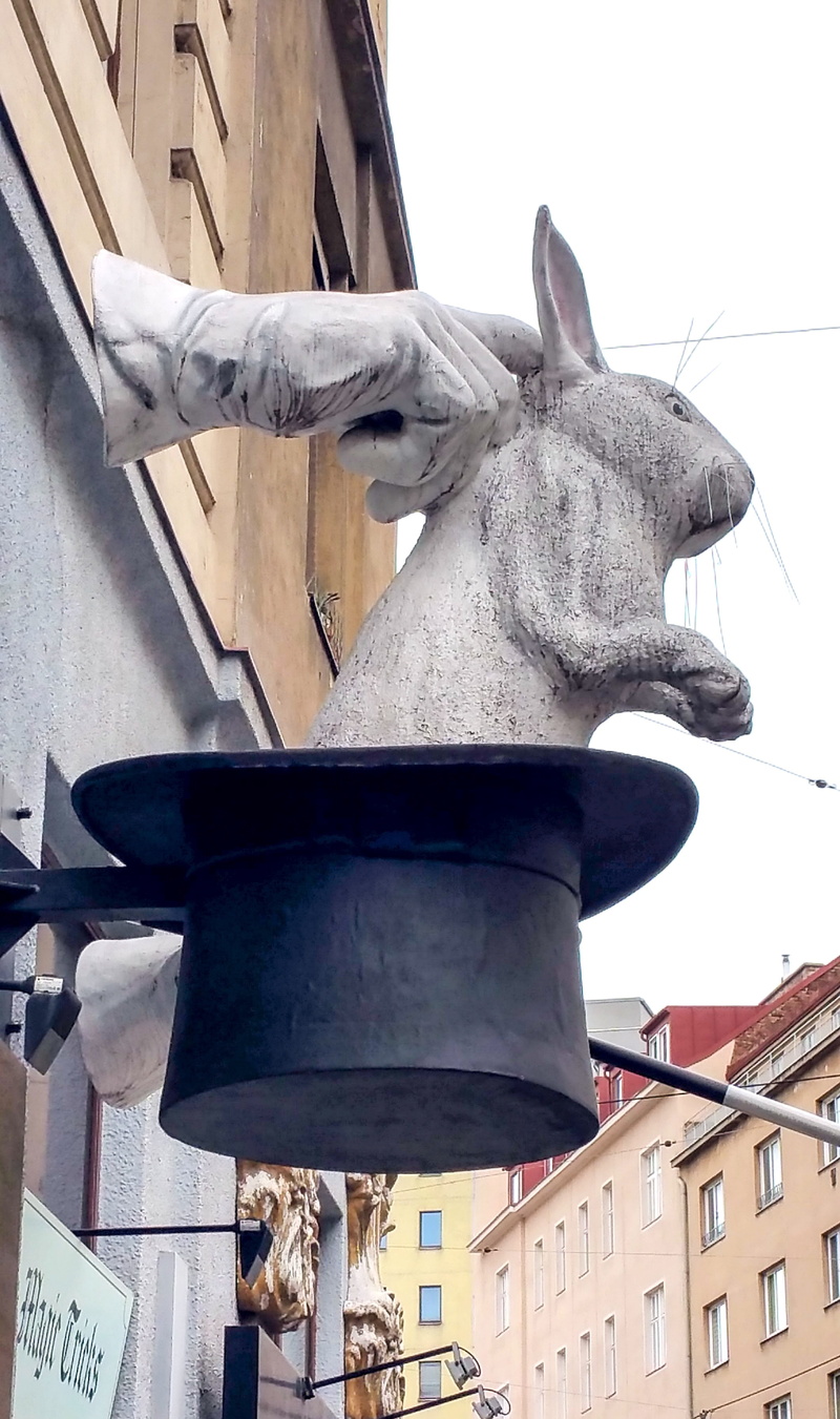 magic shop, low angle view, magic, trick, hauswand, vertebrate, one animal, no people, animal, built structure, nature, day, 2K, herbivorous, domestic