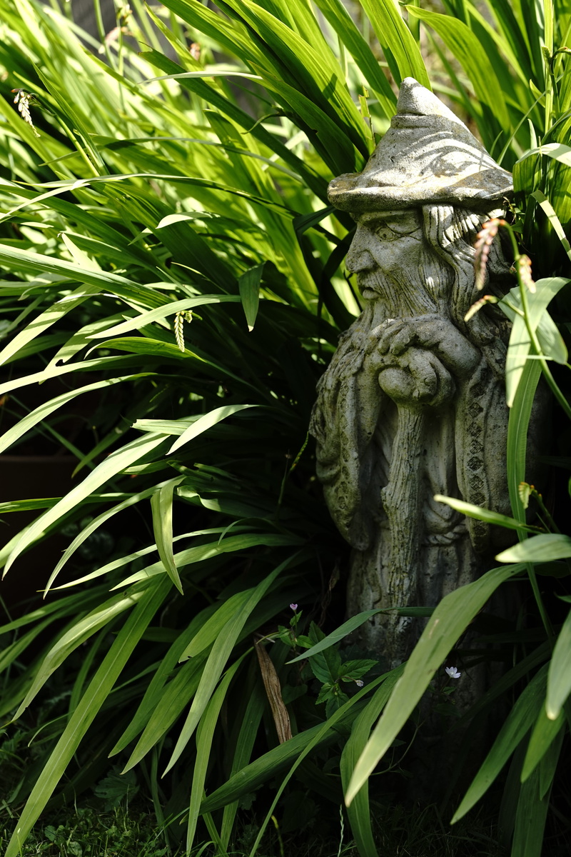plant, creativity, no people, statue, witchcraft, sculpture, sorceress, representation, garden, evil, 5K, mystery, art and craft, mystical, magic, leaves