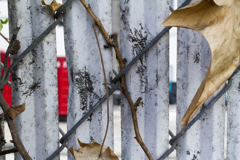 grit, equipment, leaf, wall - building feature, work tool, texture, hand tool, no people, wood - material, dirty, concrete, fence, closeup, grunge, close-up