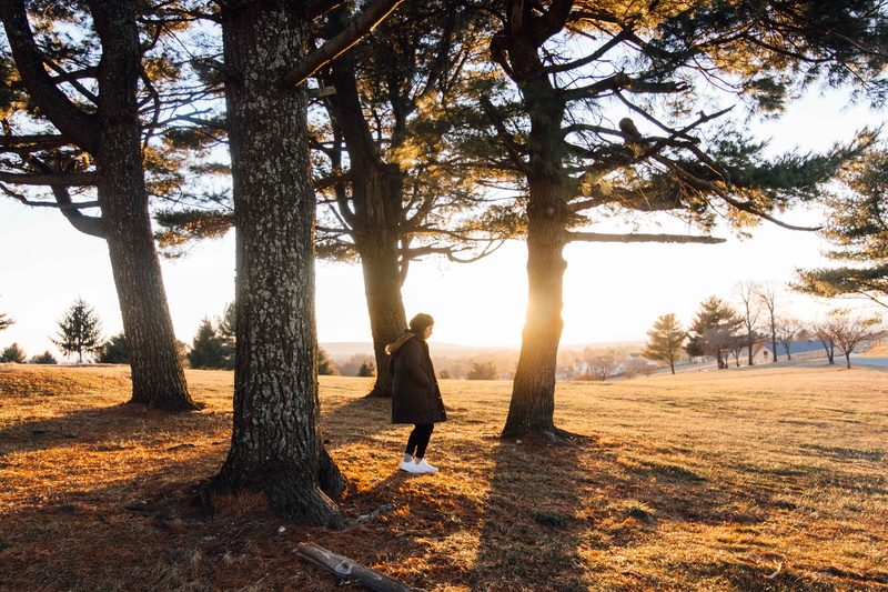explore, adventure, nature, standing, day, outdoors, outside, tree, sunlight, sun, growth, person, landscapes, light, lifestyles, girl, warm, trunk, full length