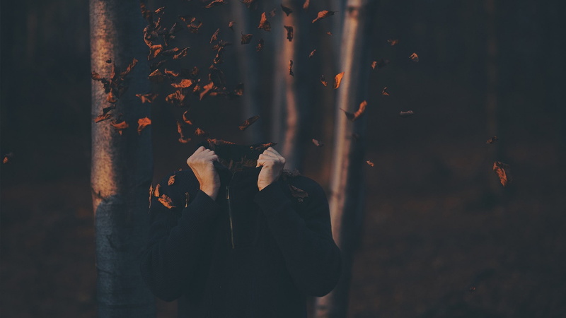 headless, 1080P, fall, leaves