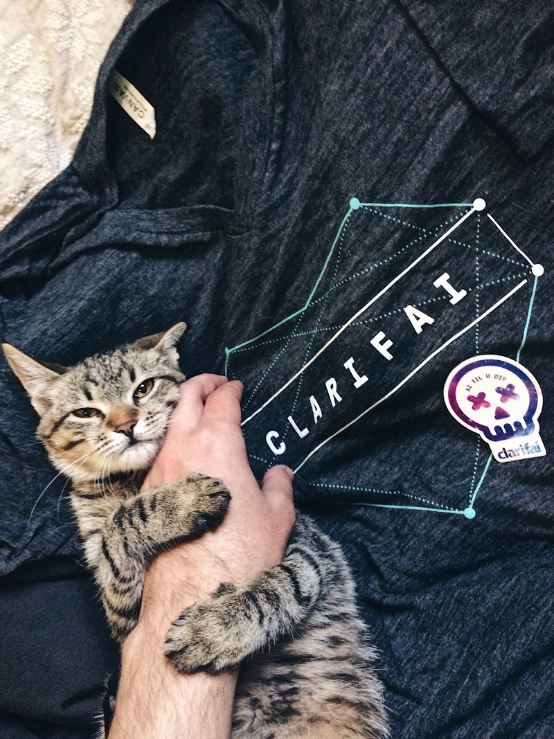 feline, domestic, clarifai, lifestyles, tshirt, casual clothing, pets, pet owner, ai, domestic cat, cute, startup, men, whisker, mammal, one animal, midsection