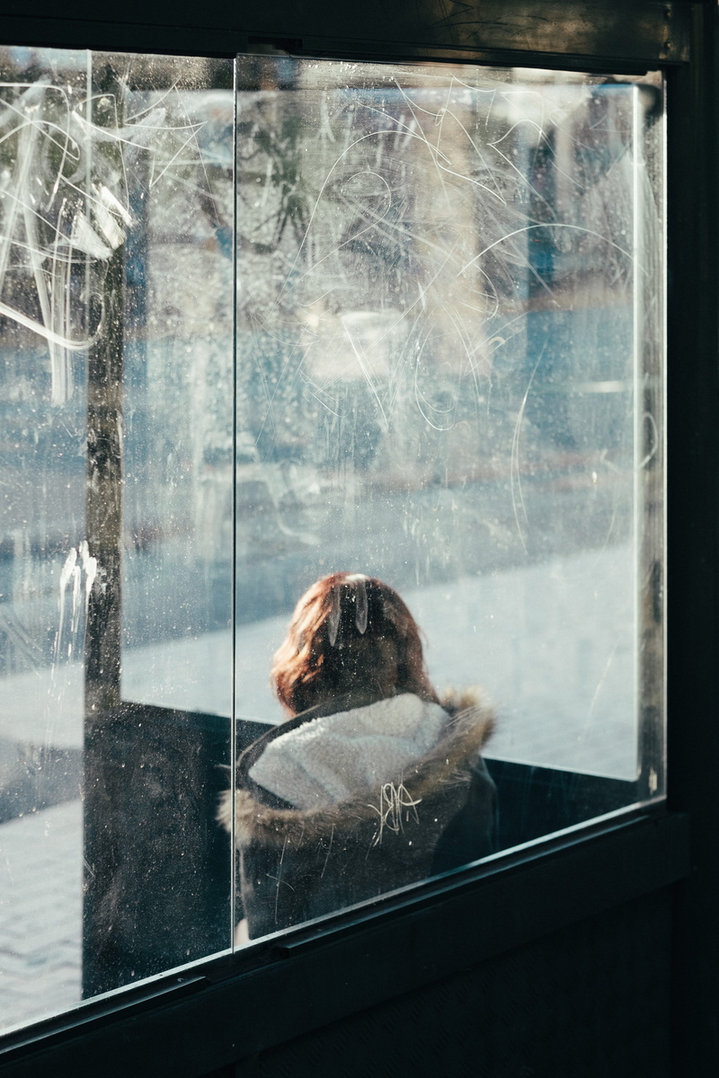 glass - material, 5K, long, vertebrate, sitting, day, bus station, one animal, animals in the wild, sea, near, faceless, looking, glass, one person, window