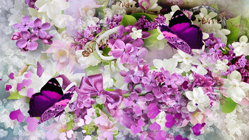 lilac, lavender, bouqu, plumeria, butterfly, flowers, rhapsody, 1080P, spring, fleurs, romantic, papillon, frangipani