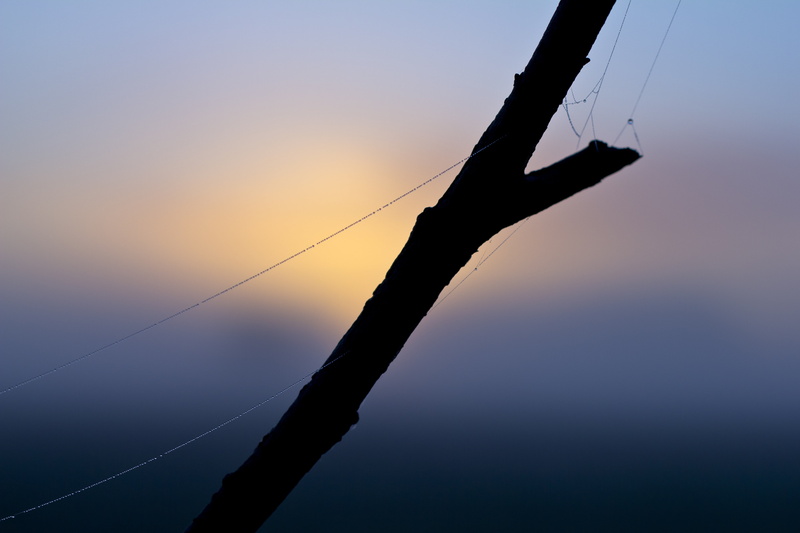 sport, unaffected, slurry, landscape, sunrise, low angle view, 5K, clouds, pile, nebulized, bush, sunset, impaler, wire, morgenstimmung, autumn, sun, beauty in nature