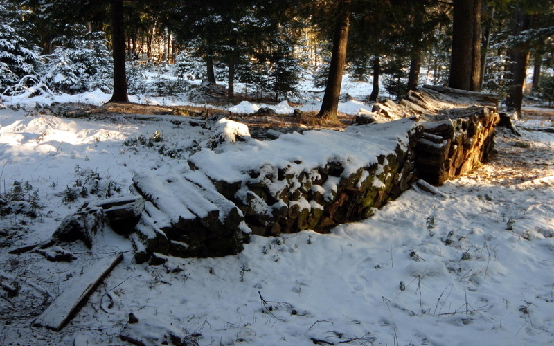 1080P, 3d and abstract, woodpile, tree, winter, cold, widescreen, snow
