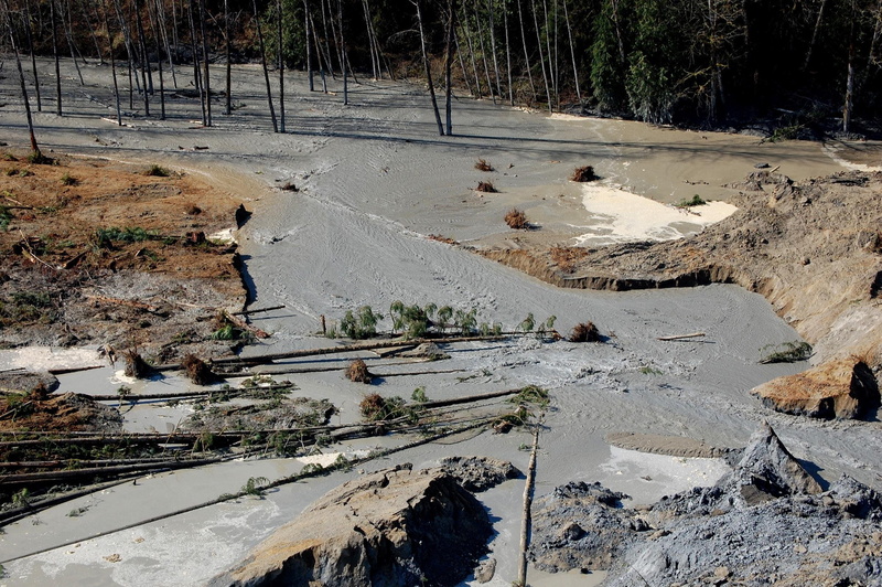 forest, natural, snohomish, nature, river, 1080P, landslide, mudslide, landscape, disaster
