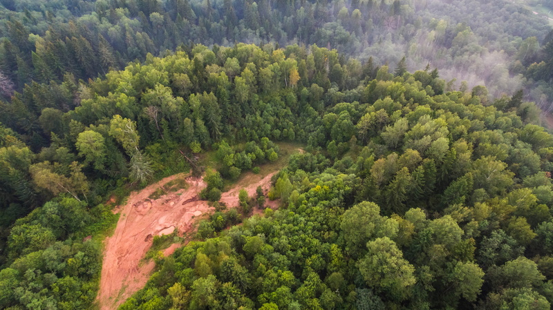 plant, tranquil scene, high angle view, green, land, birds eye view, environment, tranquility, view, outdoor, hill, day, woodland, bird, erosion, trees
