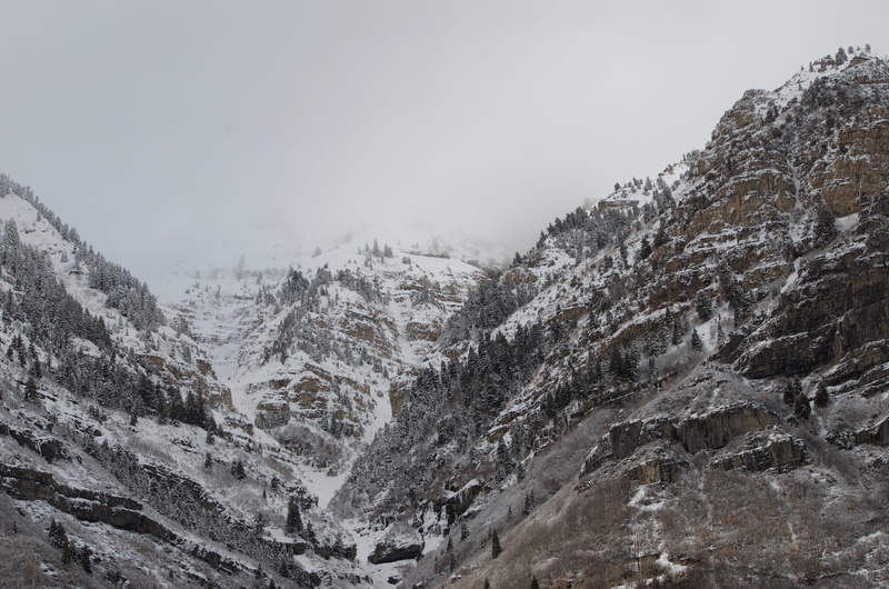 photography, outdoors, snow, fir, glacier, cold temperature, landscape, formation, environment, view, beauty in nature, tranquility, snowcapped mountain