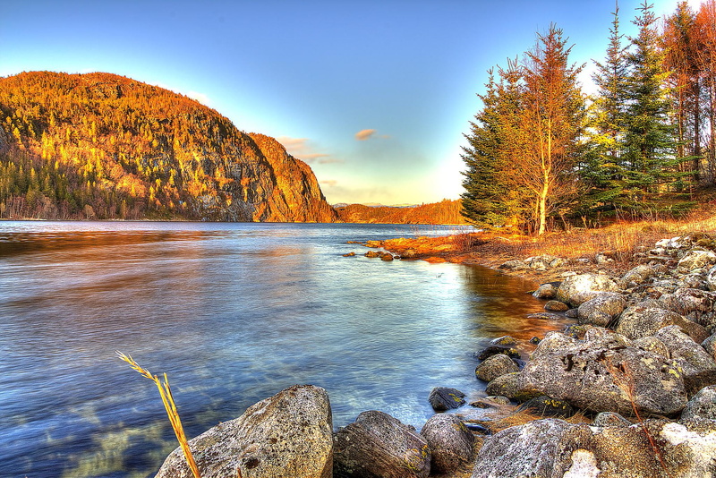 Water  Forest, Summer Vibes, Spring, blue sky, rock - Object, scenics, forest, Canon, HDR, Northern, Nature, 1080P, tree, Trees, daytime, autumn, water