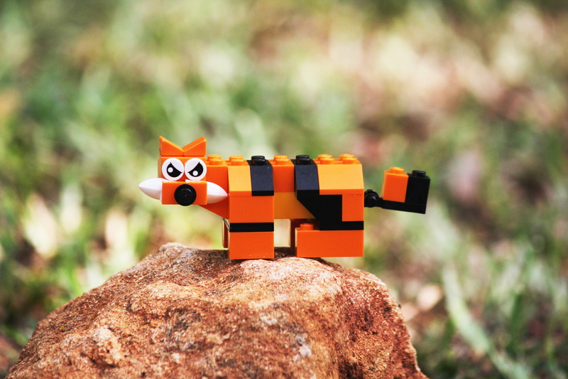 block, 5K, child, fun, no people, creativity, tiger, cartoon, cat, tree, cute, orange color, one animal, character, multi colored, representation, striped