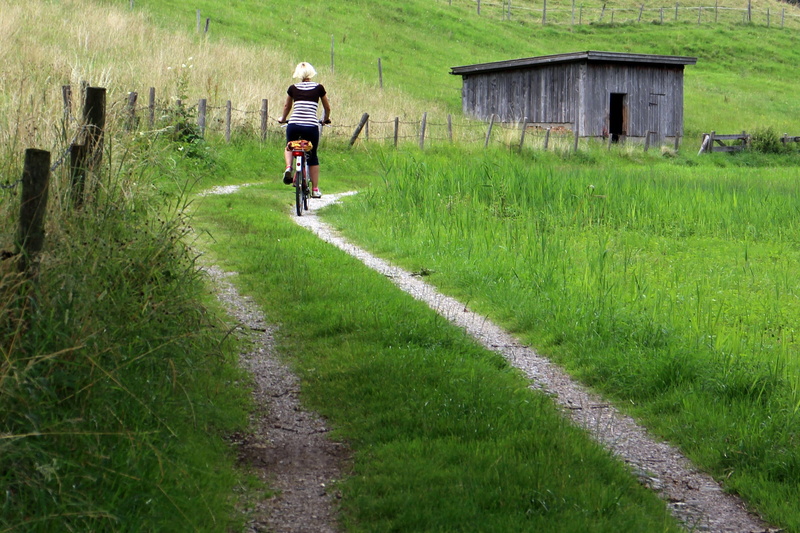 green color, grass, lifestyles, Cyclist, person, people, shed, riding, lane, outdoors, one person, cycling, full length, leisure activity, rear view, Recovery