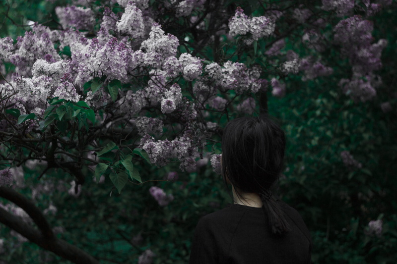 forest, nature, growth, freshness, flower, springtime, violet, outside, tree, focus on foreground, faceless, flowering plant, fragility, green, beauty in nature