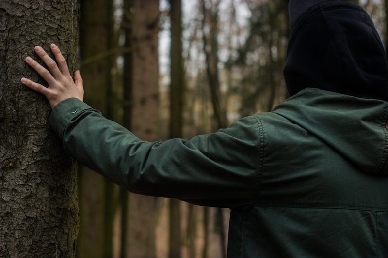 tree trunk, adult, ukraine, limb, human hand, human limb, human arm, land, lviv, body part, men, searching, faceless, one person, arms raised, hood - clothing