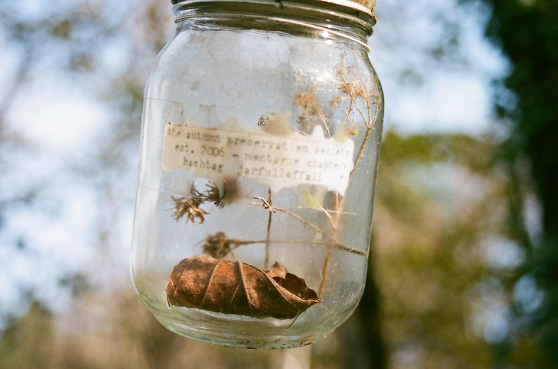 tree, no people, transparent, bottle, close-up, healthcare and medicine, text, natural condition, western script, mason jar, montague, jar, glass - material