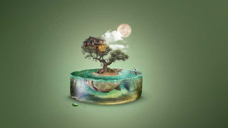studio shot, green color, aqua, paper currency, dream, environmental issues, no people, 2K, fish, summer, fantasy, cloud, moon, indoors, vara, green background