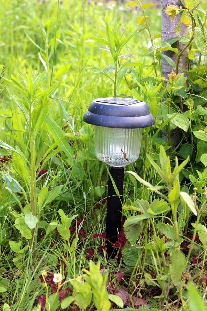 garden lantern, decoration, freshness, land, outdoors, summer, solar, lantern, growth, plant part, lighting equipment, 5K, photocell, solar energy, electricity