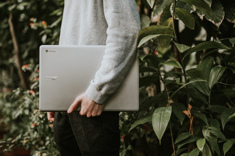 human hand, communication, standing, computer, tree, forest, sponsored, 2K, one person, growth, person, nature, human body part, outdoors, close-up, focus on foreground