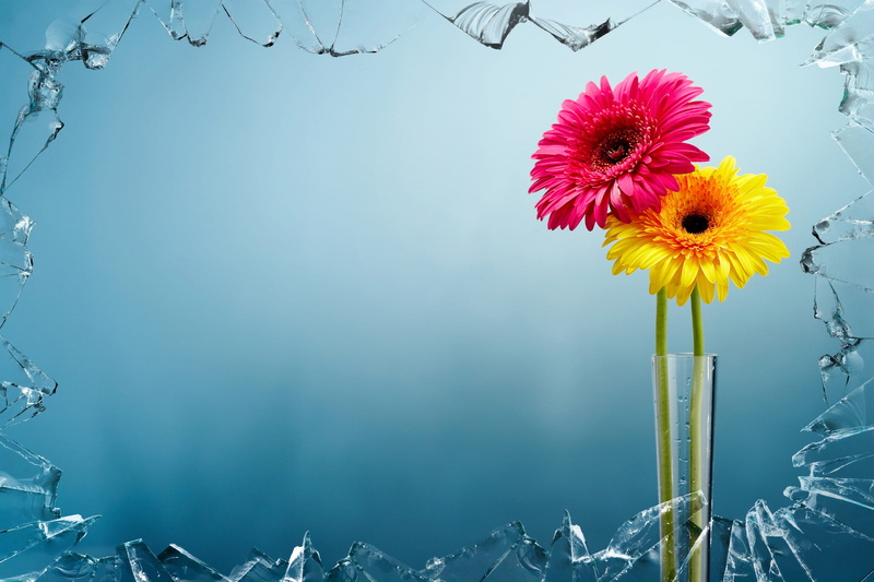 flora, fragility, softness, yellow, flower arrangement, beauty in nature, petal, indoors, flower head, sunflower, broken, freshness, pollen, close-up, nature