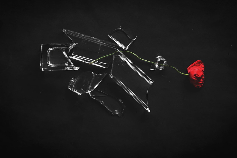 glass, 1080P, plants, broken glass, flowers, red flowers