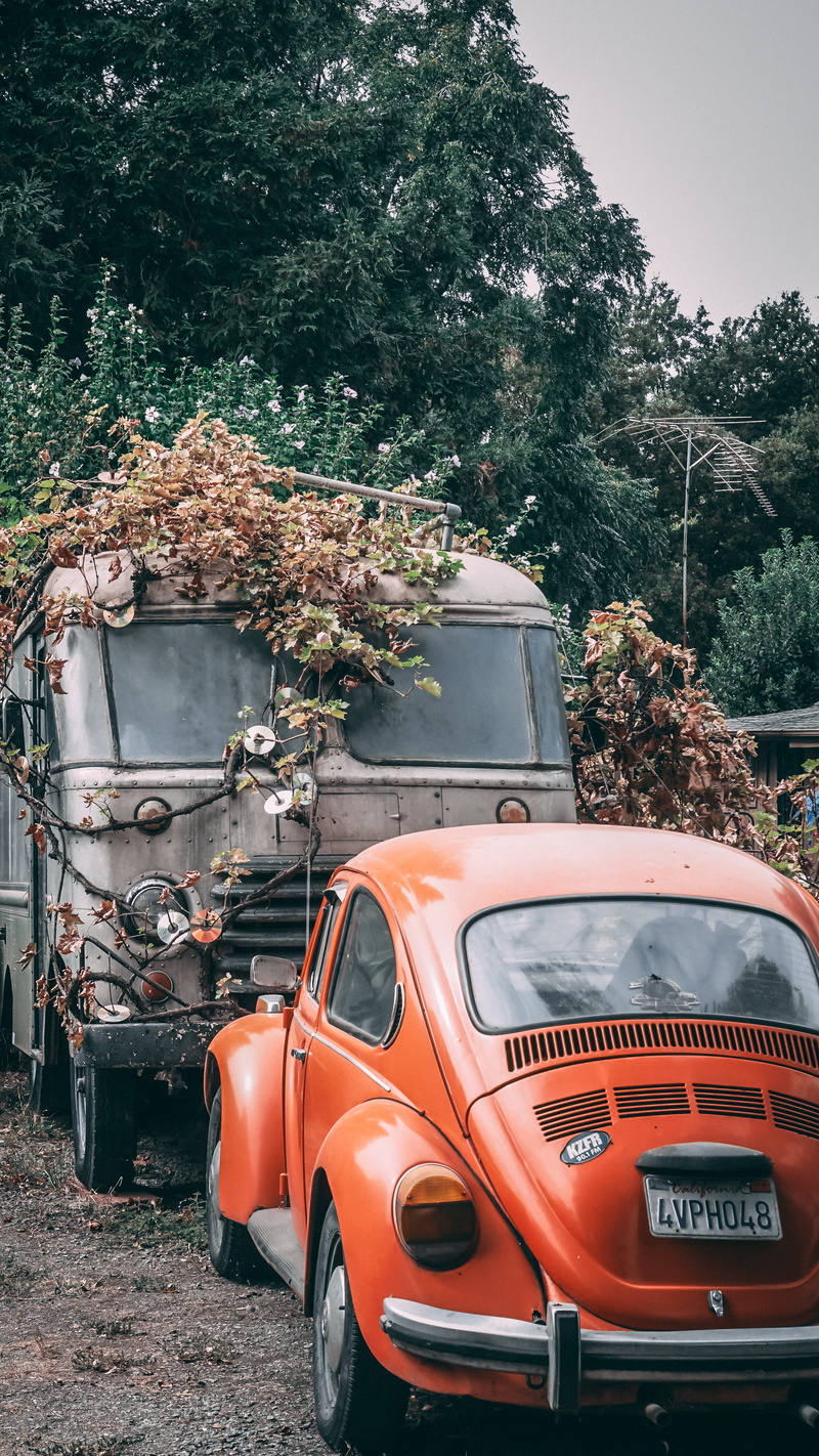 car, red, bug, 4K, no people, overgrown, broken, flowers, travel, road, trash, growth, tree, day, abandoned, obsolete, chico, stationary, plants, homless