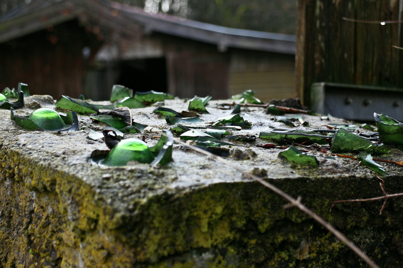 broken glass, day, broken, theft, pointed, solid, glass, growth, architecture, 5K, green color, moss, sharp, rock, shard of glass, close-up, no people