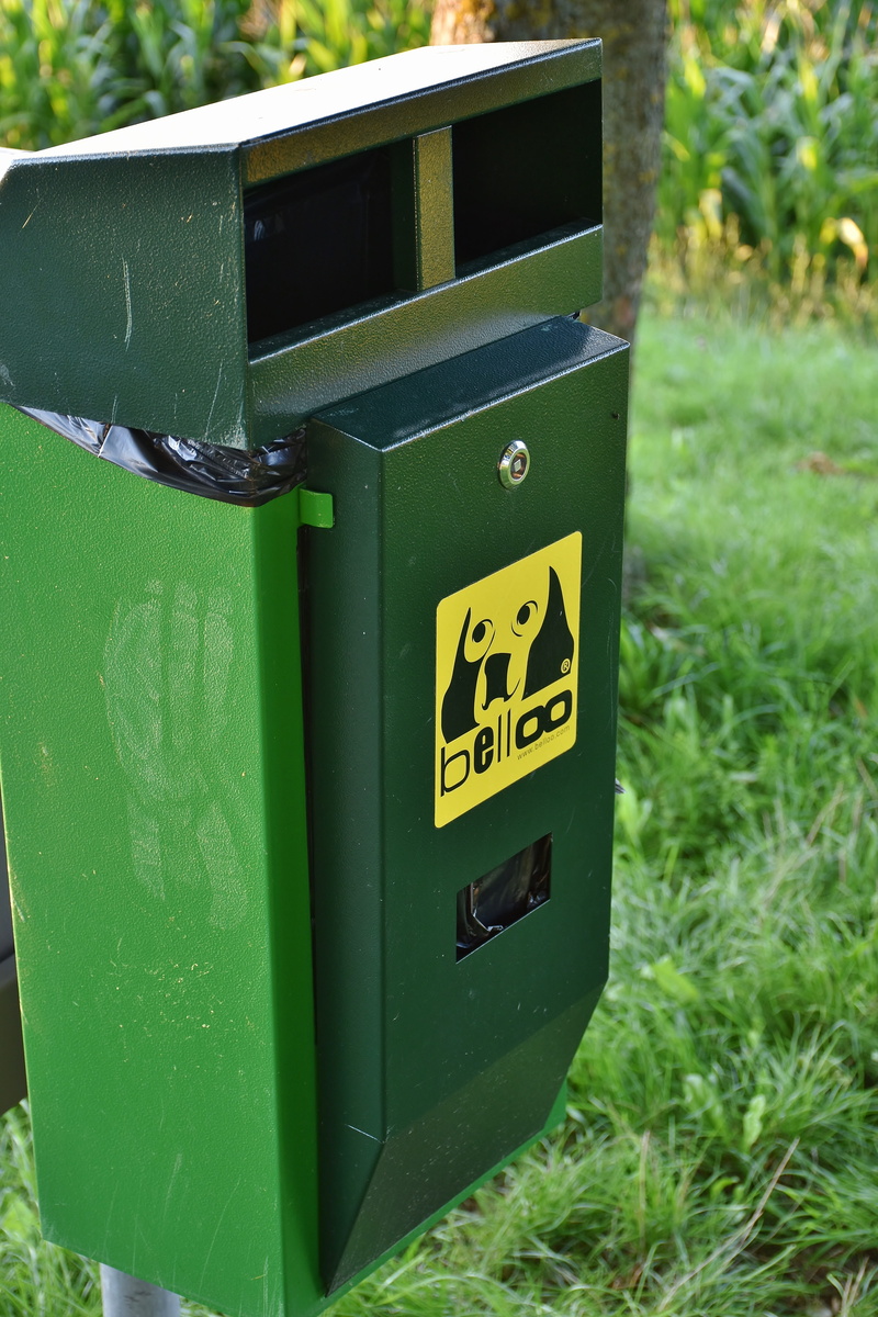 disposal, bin, environmental protection, trash, belloo, dog, trash can, text, mailbox, garbage, day, nature, kot, dustbin, waste disposal, land, 5K, environment