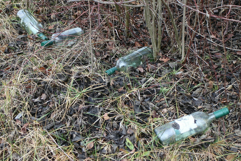 alcohol, land, growth, vertebrate, no people, obsolete, throw away society, pollution, disposal, environmental issues, Garbage, waste disposal, high angle view
