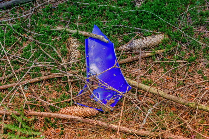 garbage, nature, leaf, responsibility, forest floor, field, blue, absence, purple, environment, plastic, land, plant, grass, environmental protection, throw away society