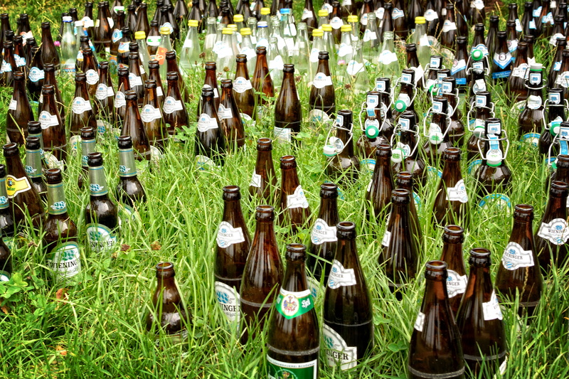 pollution, drink, bottles, bottleneck, container, vertebrate, in a row, grass, environment, load, green color, abundance, environmental protection, waste