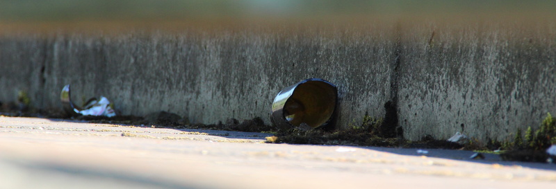 water pollution, bottle, garbage, nature, 5K, abandoned, communication, pollution, surface level, outdoors, gutter, sign, waste, sunlight, side of the road