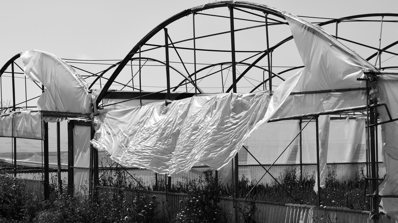 plant, recycling, dirt, plant nursery, greenhouse, black white, abandoned greenhouse, throw away society, laundry, plastic wrap, leave, responsibility