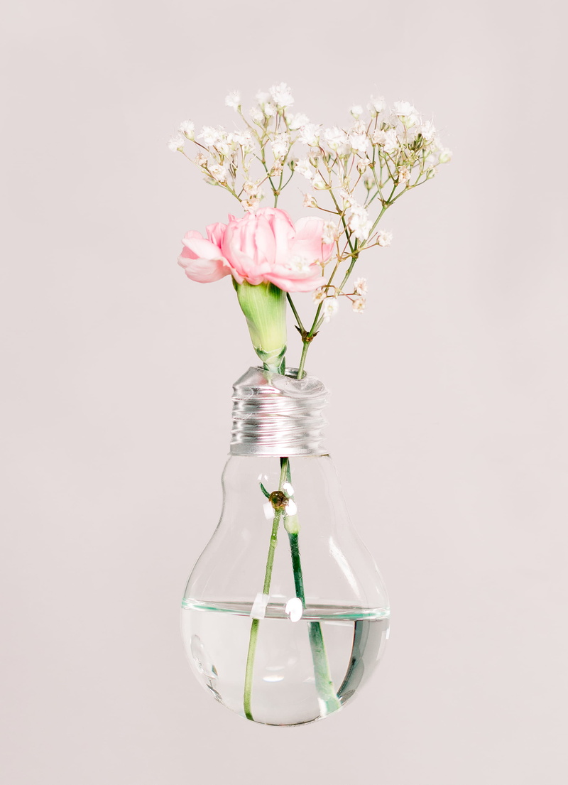 jar, season, arrangement, elegance, blossom, ornate, close-up, bouquet, freshness, flower, gift, led, studio light, plant, backgrounds, vase, pink, tulip