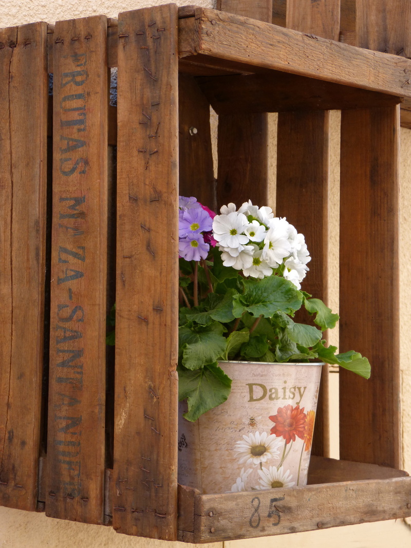 flower pot, growth, shelving, freshness, flowering plant, plant, gardening, flower, outdoors, packing, decoration, window box, fragility, close-up, container