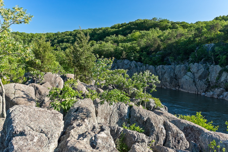 rock, river, sky, stream, boulders, no people, pothole alley, clear sky, green color, maryland, outdoors, scenics - nature, coniferous tree, gorge, 4K