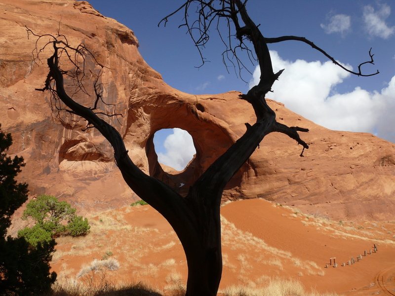 tranquil scene, scenics - nature, ear of the wind arch, rock, utah, climate, leafless, beauty in nature, dead plant, outdoors, tree, no people, pothole natural arch