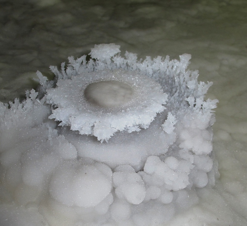 white color, flower, frozen, ice, beauty in nature, winter, cold temperature, zing, close-up, 1080P, nature, concretion, high angle view, body part, snowflake