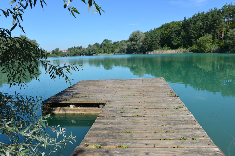 growth, landscape, no people, scenics - nature, green, lake, trees, wooden post, beside, tranquil scene, web, blue, fishing pier, boardwalk, brown, beach