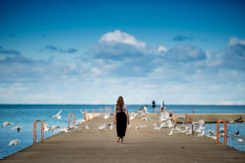 flying, steel, lifestyles, nature, beach, women, pathway, bridge, walking, horizon, sky, 5K, land, rear view, sand, seagull, alone, blue, sea, clouds