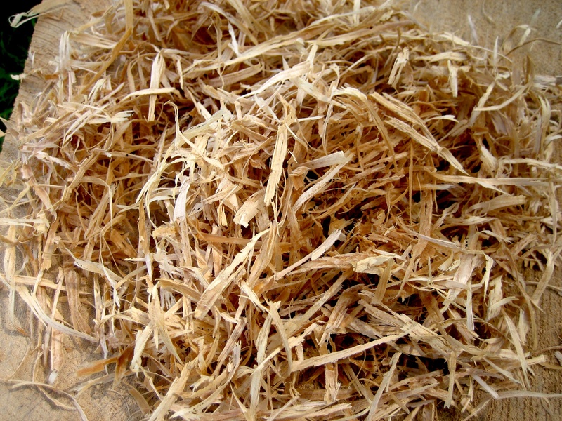 planer, wellbeing, planed, still life, chips, nature, dry, raw food, indoors, food, wood, high angle view, wood chips, healthy eating, full frame, close-up