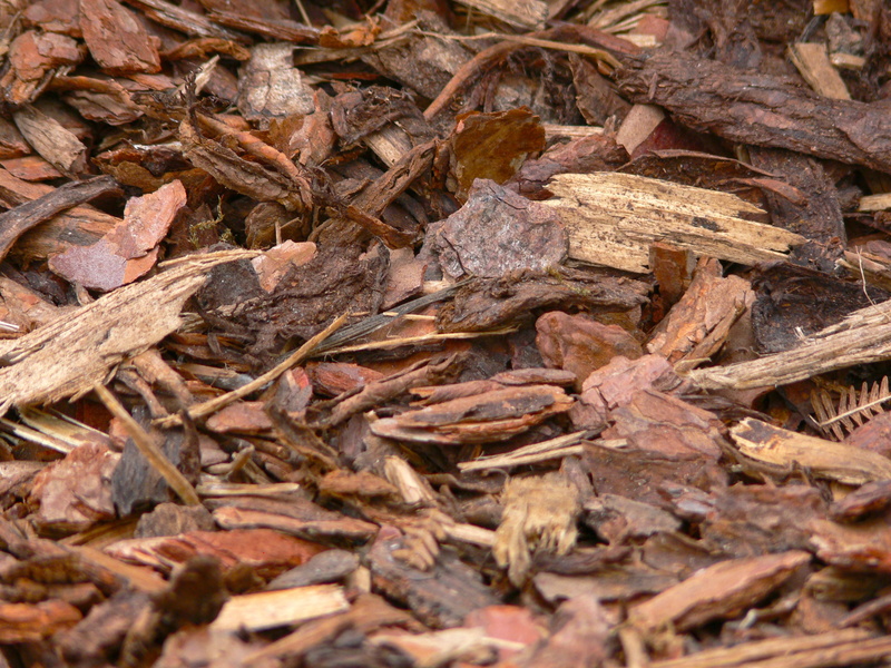 wood chips, leaf, outdoors, splitter, brown, leaves, close-up, bark mulch, cover, dry, background, wood rasp, texture, backgrounds, full frame, 2K, high angle view