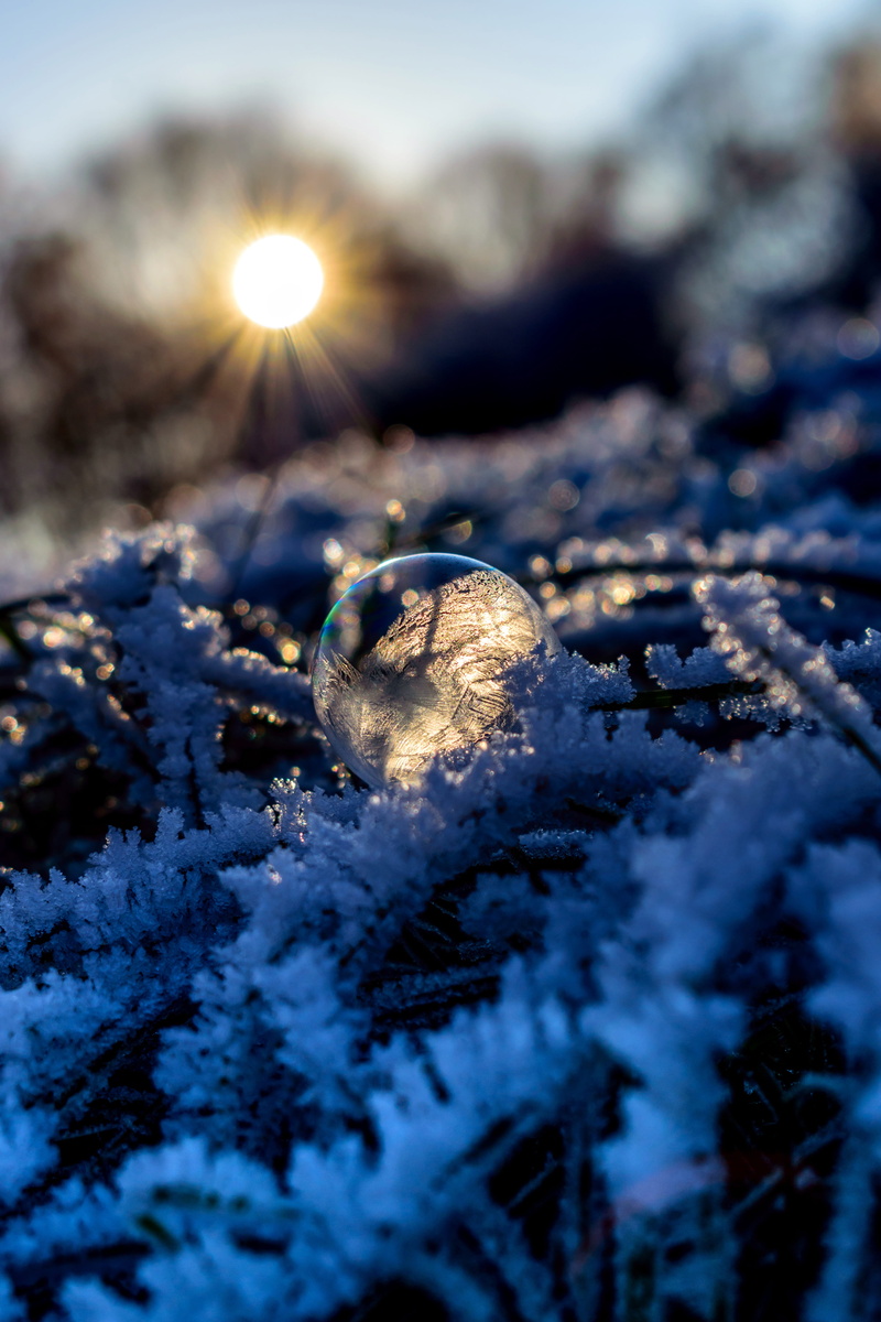 snowcapped mountain, focus on foreground, snow, land, ze, no People, water, sunrise, plant, selective focus, cold - Temperature, soap bubble, frost, sunlight